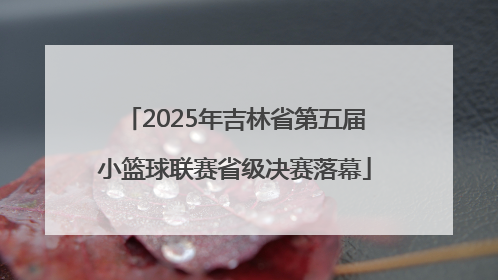 2025年吉林省第五届小篮球联赛省级决赛落幕