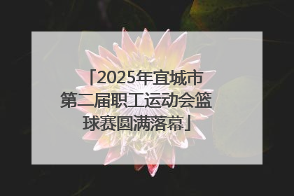 2025年宜城市第二届职工运动会篮球赛圆满落幕