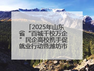 2025年山东省“百城千校万企”民企高校携手促就业行动暨潍坊市职教活动周启动