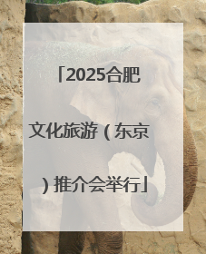 2025合肥文化旅游（东京）推介会举行
