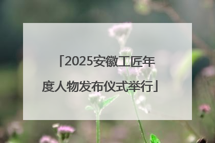 2025安徽工匠年度人物发布仪式举行