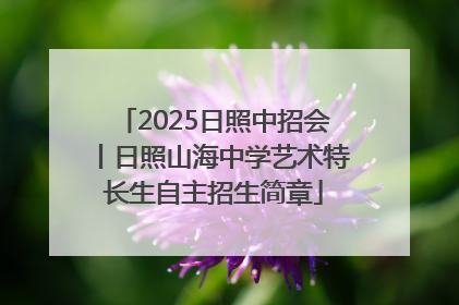 2025日照中招会丨日照山海中学艺术特长生自主招生简章