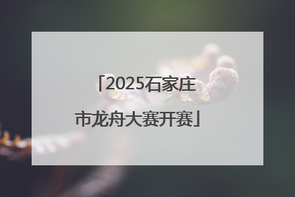 2025石家庄市龙舟大赛开赛