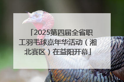 2025第四届全省职工羽毛球嘉年华活动（湘北赛区）在益阳开幕