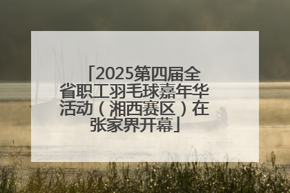 2025第四届全省职工羽毛球嘉年华活动（湘西赛区）在张家界开幕