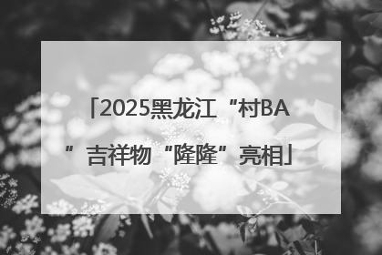 2025黑龙江“村BA”吉祥物“隆隆”亮相