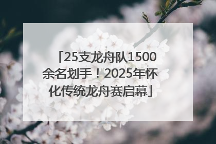25支龙舟队1500余名划手！2025年怀化传统龙舟赛启幕