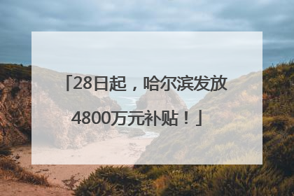 28日起，哈尔滨发放4800万元补贴！