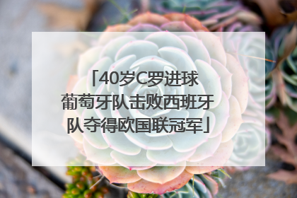 40岁C罗进球 葡萄牙队击败西班牙队夺得欧国联冠军
