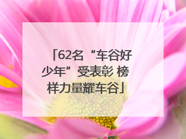 62名“车谷好少年”受表彰 榜样力量耀车谷