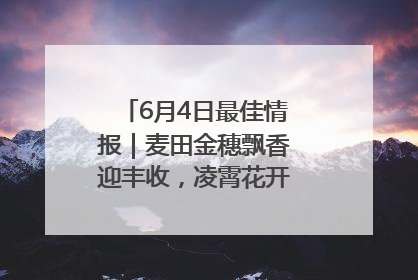 6月4日最佳情报｜麦田金穗飘香迎丰收，凌霄花开娇艳多姿！恭喜