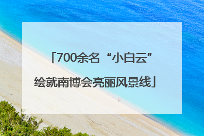 700余名“小白云”绘就南博会亮丽风景线