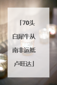 70头白犀牛从南非运抵卢旺达