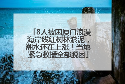 8人被困厦门浪漫海岸线红树林淤泥，潮水还在上涨！当地紧急救援全部脱困