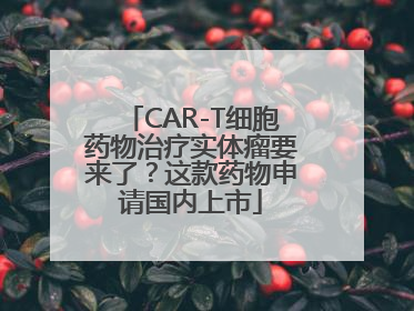 CAR-T细胞药物治疗实体瘤要来了？这款药物申请国内上市