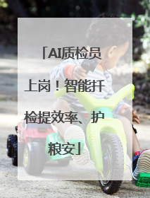 AI质检员上岗！智能扦检提效率、护粮安