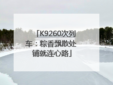 K9260次列车：粽香飘散处 铺就连心路