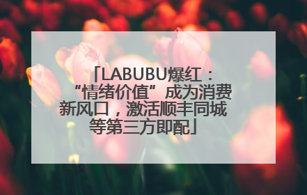 LABUBU爆红：“情绪价值”成为消费新风口，激活顺丰同城等第三方即配