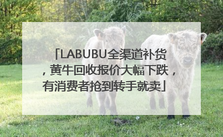 LABUBU全渠道补货，黄牛回收报价大幅下跌，有消费者抢到转手就卖