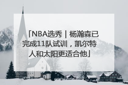 NBA选秀｜杨瀚森已完成11队试训，凯尔特人和太阳更适合他