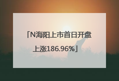 N海阳上市首日开盘上涨186.96%